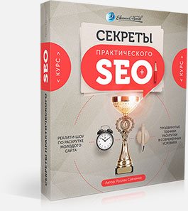 Видеокурс по SEO видеокурс по seo