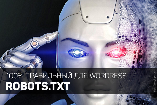 robots txt для wordpress