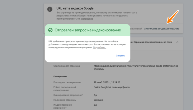 страница успешно отправлена на индексирование
